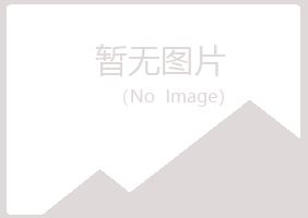 铁岭银州埋没化学有限公司